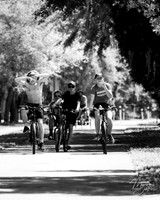 Pinellas Trail
