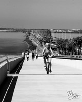 Courtney Campbell's Trail
