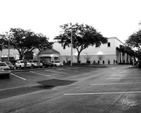 Palm Harbor